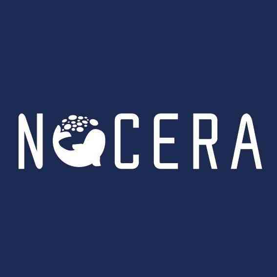 Nocera