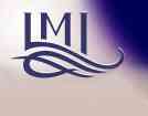 LMI Inc.