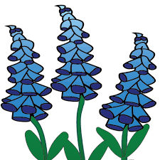 Bluebonnet Home Health & Hospice