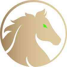 Stallion Uranium