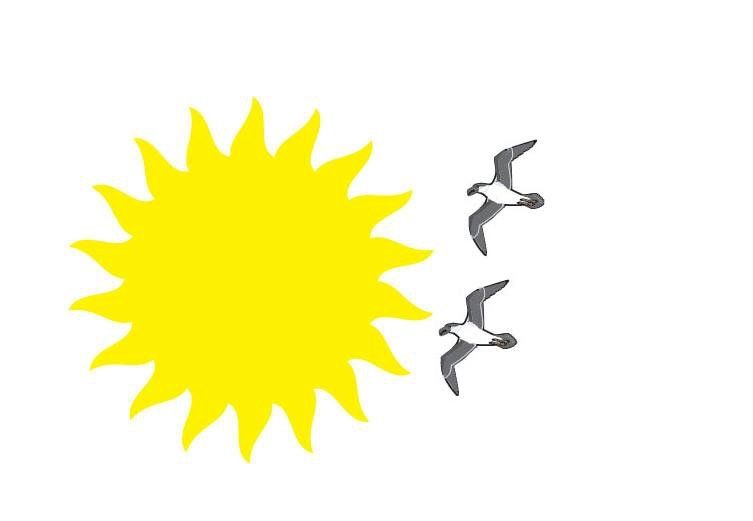 Suncoast Clinical Research, Inc.