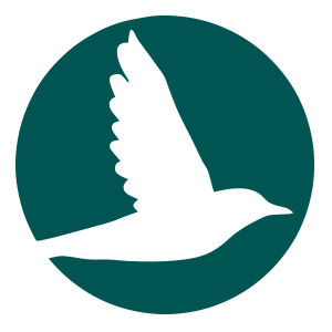 Iora Health LLC