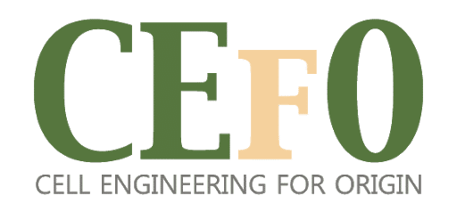 CEFO Co., Ltd.