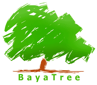 Bayatree Infocom