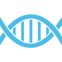 The Sequencing Center