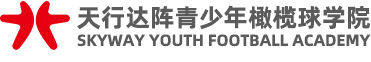 Skyway Youth Football Academy
