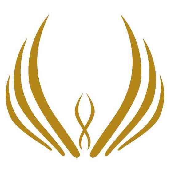 Wookey Technologies