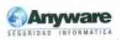 Anyware Seguridad Informatica