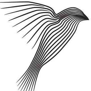 Meridian Bird Removal