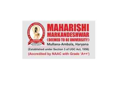Maharishi Markandeshwar University 标识