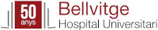 Bellvitge University Hospital