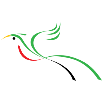 Partner For Surgery Inc