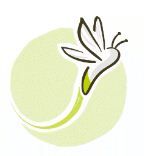 Luciole Medical AG