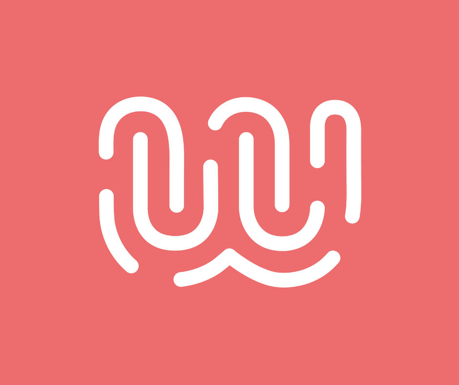 Wild Code School