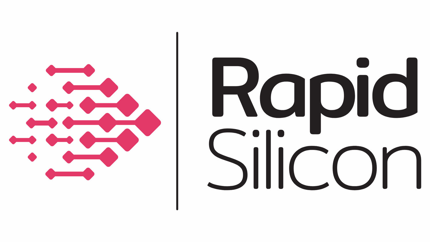 Rapid Silicon