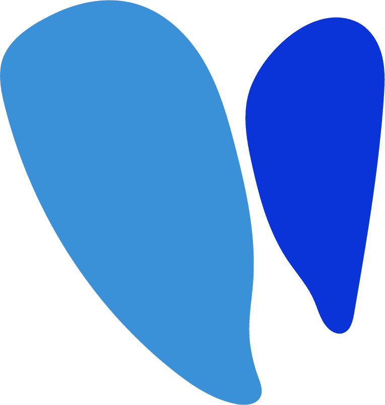 Vesalius Cardiovascular Inc