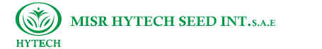 Misr Hytech Seed