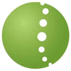 Practice Wellbeing Chiropractic, P.C.