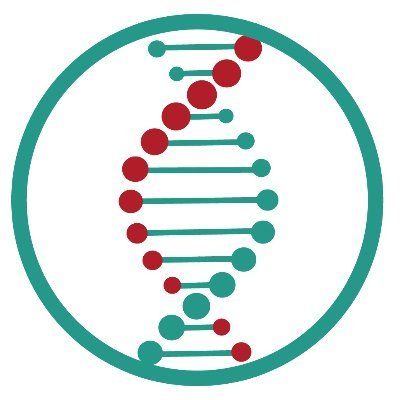 Mainz Biomed NV