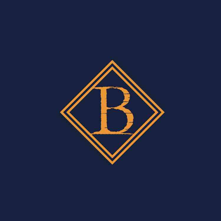 BF SOLUTION GROUP