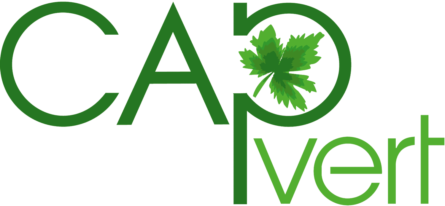The Cap Vert Development Group
