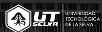 Universidad Tecnológica De La Selva