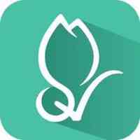 Moli Information Technology