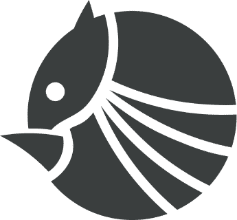 CodeShield logo