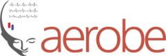 Aerobe Pte Ltd.