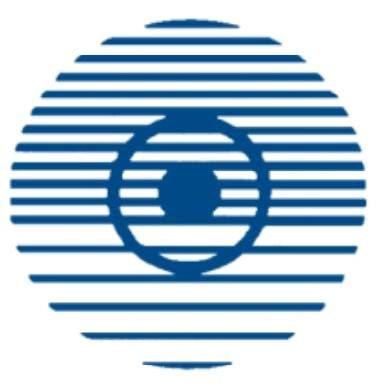 Benign Essential Blepharospasm Research Foundation Inc.