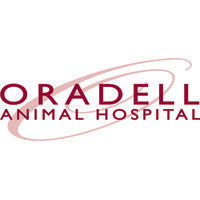 Oradell Animal Hospital, Inc.