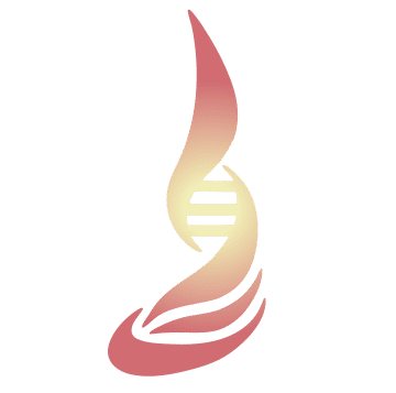 Spindle Biotech, Inc.