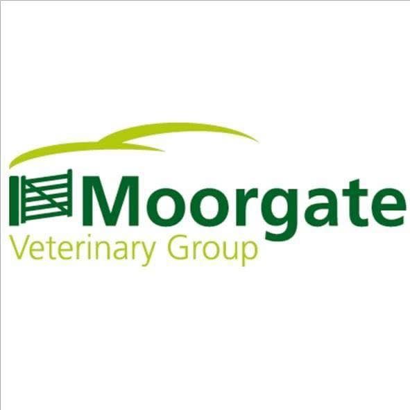 Moorgate Veterinary Group