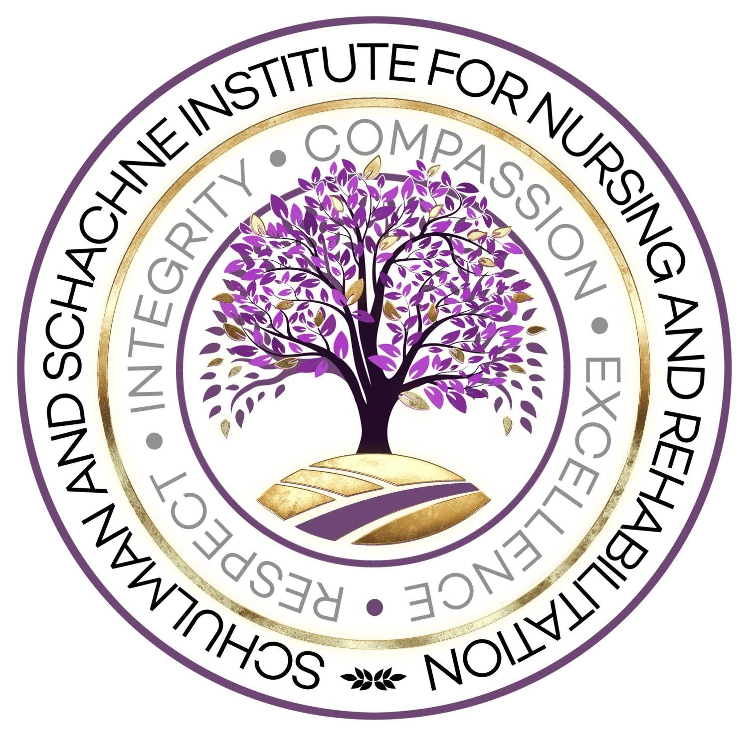 Schulman and Schachne Institute