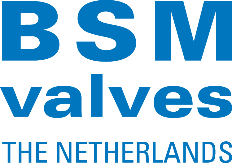 BSM Valves
