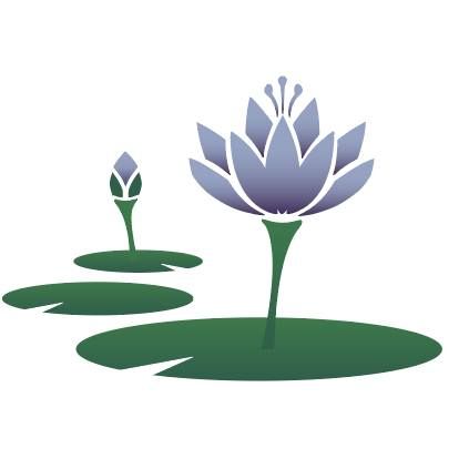 LilyPad Clinical Change & Advocacy