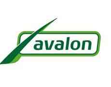 Avalon BV