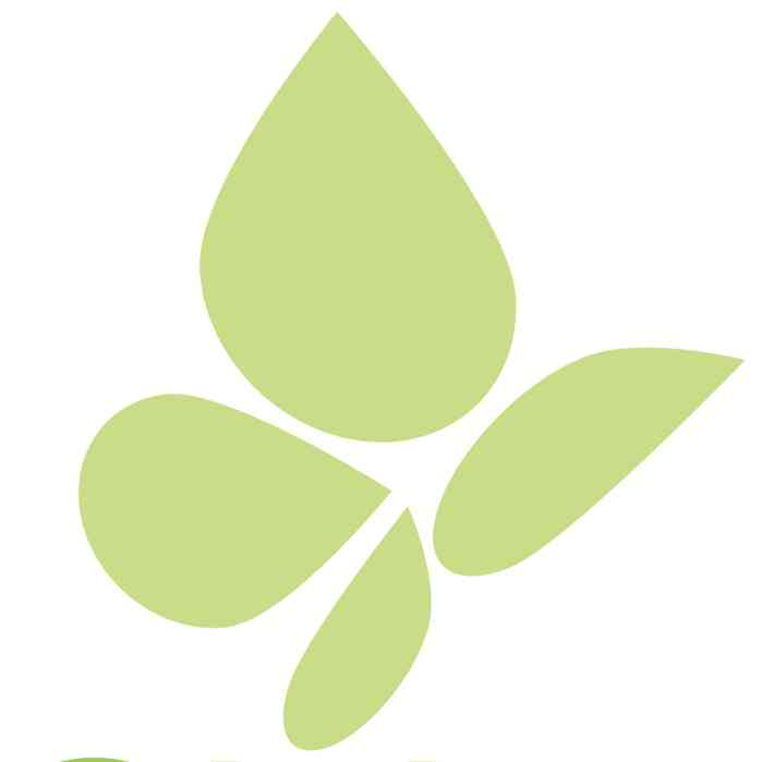 Pieridae Energy
