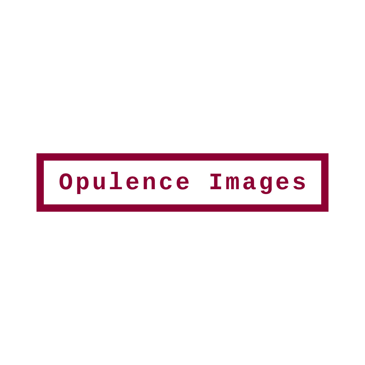 Opulence Images Atlanta Georgia