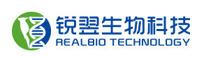 Ruiyi Biotechnology (Realbio Technology)