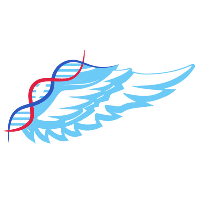 Bound Therapeutics LLC