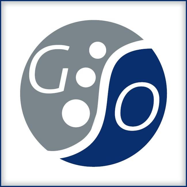 Georgia Spine & Orthopedics, LLC.
