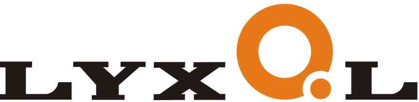Luoyang XinQianglian Slewing Bearing