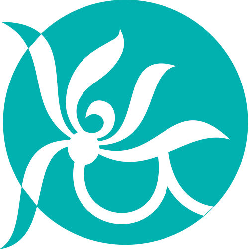 Clear Passage Physical Therapy