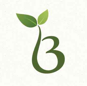 Bloom Senior Living LLC