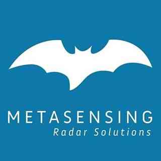 MetaSensing