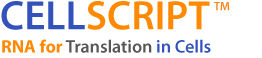mRNA RiboTherapeutics, Inc.