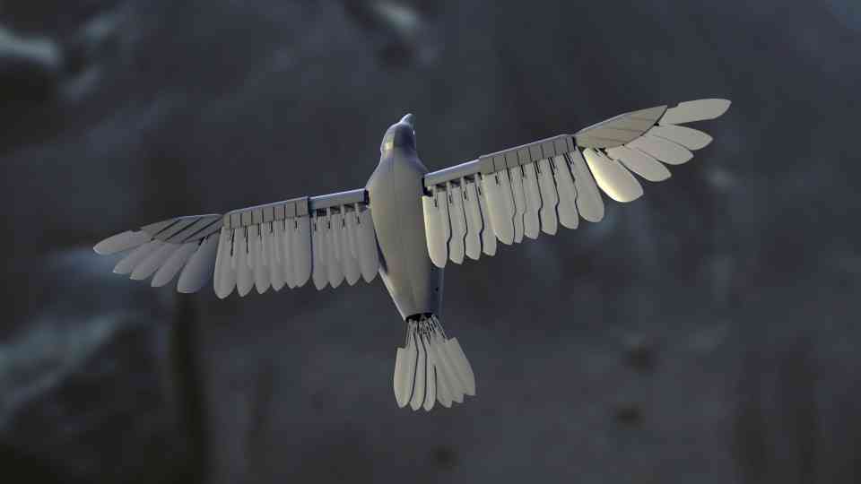 Silent Flyer