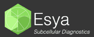 Esya, Inc.