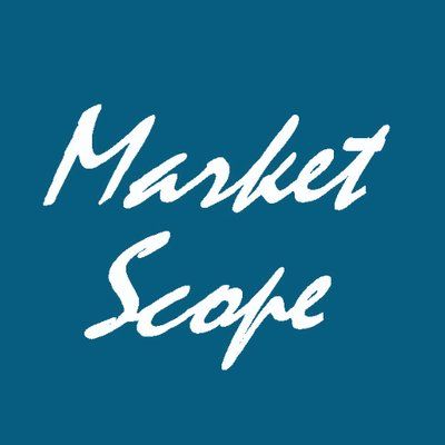 Market Scope LLC